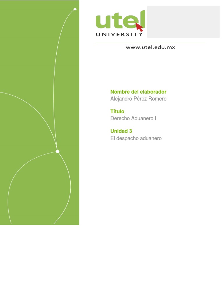 3 El Despacho Aduanero Pdf Aduana Business