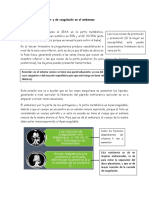 Fisiología cardiovascular embarazo