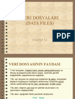 Hafta 13 BG-213 Veri Dosyalari (Bolum12)