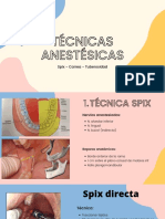 Técnicas Anestésicas