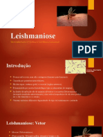Leishmaniose