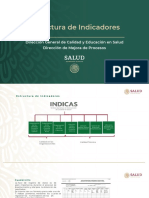 Estructura Indicadores