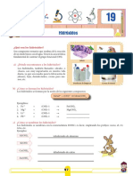 IV Quimica 19