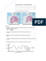 PH 2. Sistem Respirasi 2