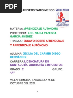 Ensayo Final Aprendizaje Autónomo