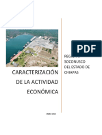 CARACTERIZACION_DE_LA_ACTIVIDAD_ECONOMIC