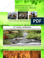 CONSERVACION Y PROTECCION DEL MEDIO AMBIENTEpdf