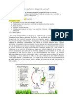 Casos Semana 14 Virus