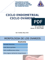 Ciclo Menstrual y Ovarico 0