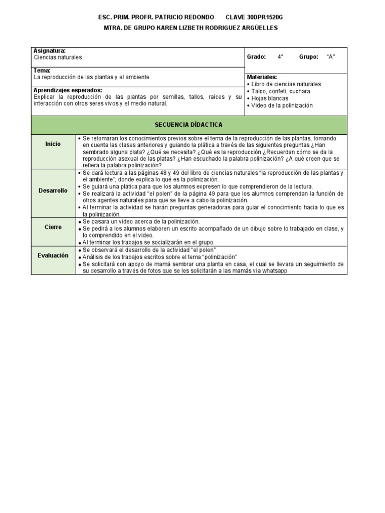 Plan de Clase | PDF | Cognición | Aprendizaje