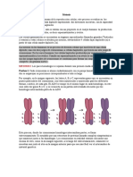 Proceso meiosis genera gametos