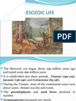 Mesozoic Life