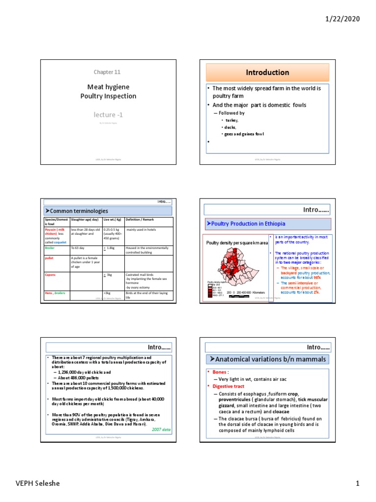 Poultry Inspection and Meat Hygiene Guide | PDF | Poultry | Chicken