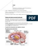 Apuntes Inteligencia Emocional