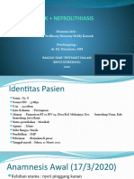 Preskas 2 - Steffanny - IsK + Nefrolithiasis