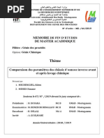 mémoire 2019 master2
