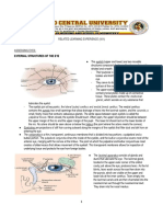 Assessing Eyes