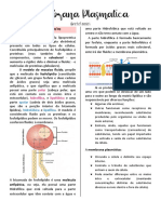 Estrutura e funções da membrana plasmática