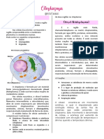 Resumo de Citoplasma