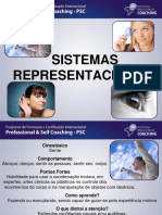 Sistema Representacioal IBC