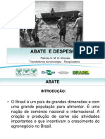 Métodos humanitários de abate de peixes para garantir o bem-estar animal e a qualidade da carne