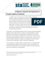 Formulación de Objetivos y Dirección Del Tratamiento