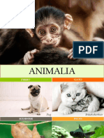 1 Morfologia y Fisiologia Animal