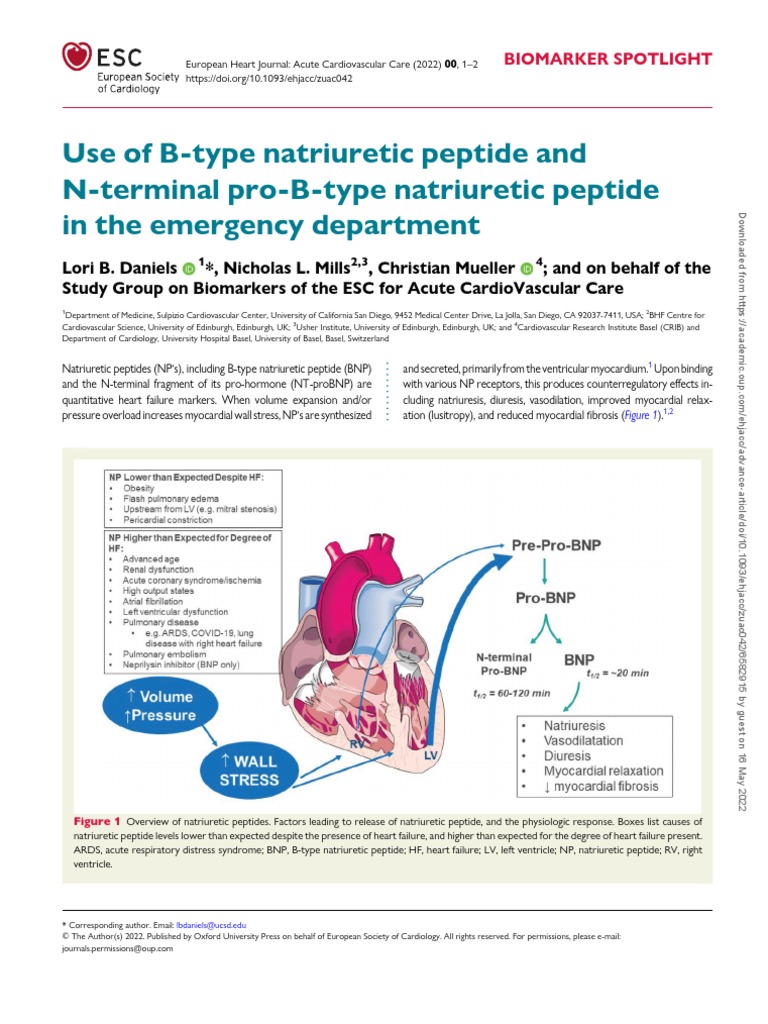 Use of BType Natriuretic Peptide and NTerminal ProBType Natriuretic