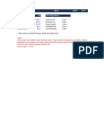 Leverage Ratios Template