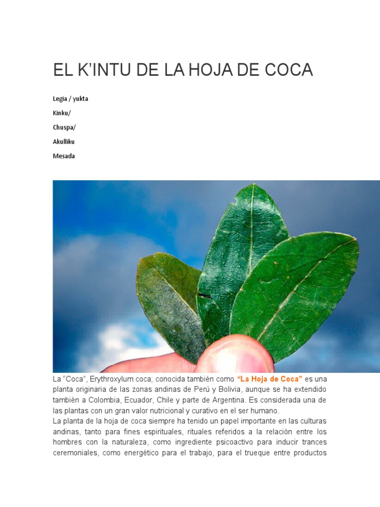 La Hoja de COCA PDF Imperio Inca