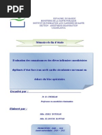 Download Memoire de Fin dEtude by Laila Shl SN58321027 doc pdf