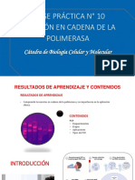 10 Práctica PCR y Variantes Final