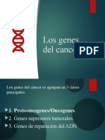 Los Genes Del Cancer 2-2