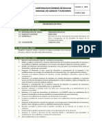 Formato Manual Cargos y Funciones - Ok