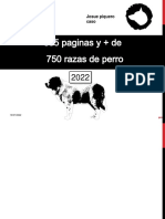 Dog Version Fondo Blanco Eliminar 1-2022