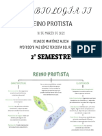 REINO PROTISTA (2)