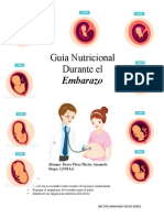 Guia Nutricional Durante El Embarazo y Recomendaciones