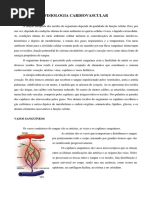Fisiologia Cardiovascular