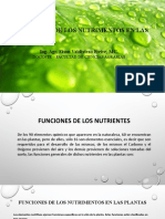 Clase 2b. Funciones de Los Nutrimentos en Las Plantas