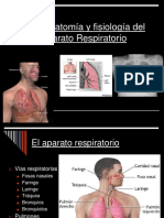 1.-Anatomia y fisiología del Aparato Respiratorio