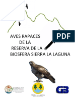 2015 Guia Aves rapaces RB La Laguna