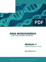 DNA MISSIONÁRIO: DESENVOLVENDO A VISÃO