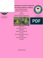 Grupo#1 - Seccion1300lunes - Ejercicios de Control de Calidad de La Droga Cruda