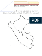 Región Selva