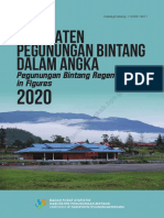 Pegunungan Bintang Dalam Angka 2020