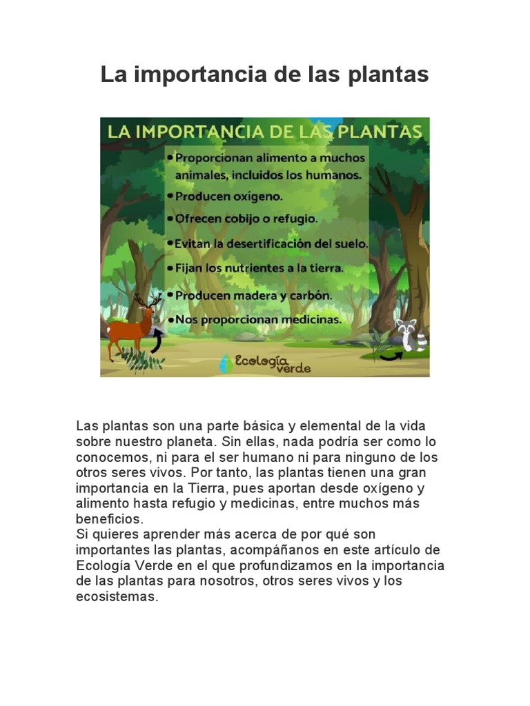 La Importancia De Las Plantas Pdf Plantas Tierra