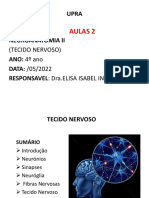 Neuroanatomia II: Tecido Nervoso