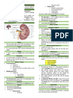 Renal Function and Related Diseases