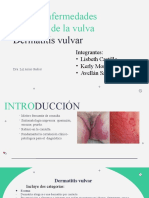 Dermatitis Vulvar