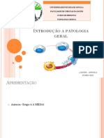 GRUPO 1-Introdução A Patologia